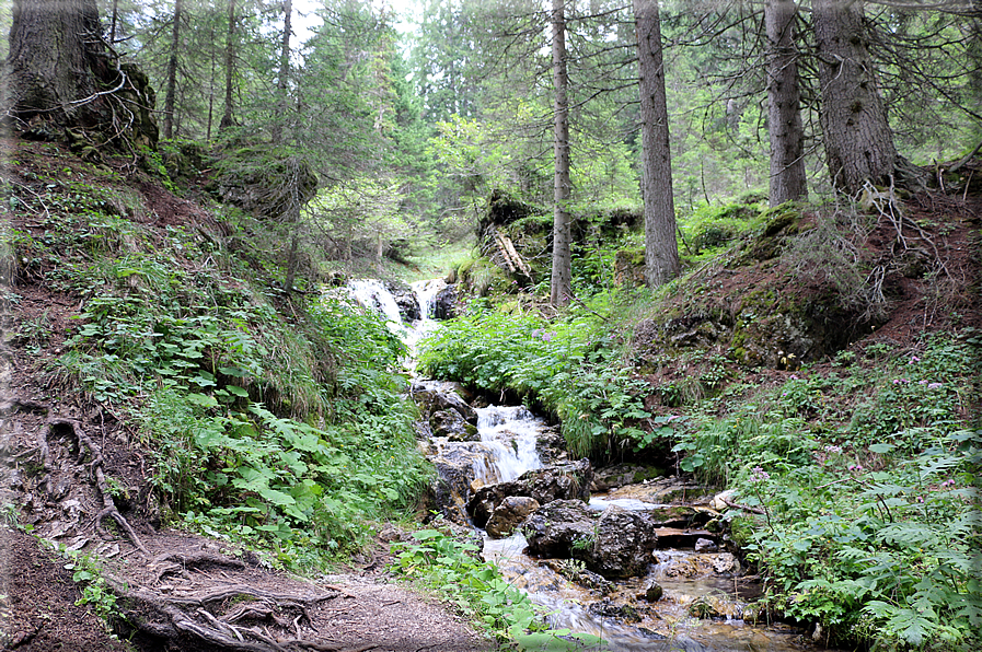 foto Cascate alte in Vallesinella